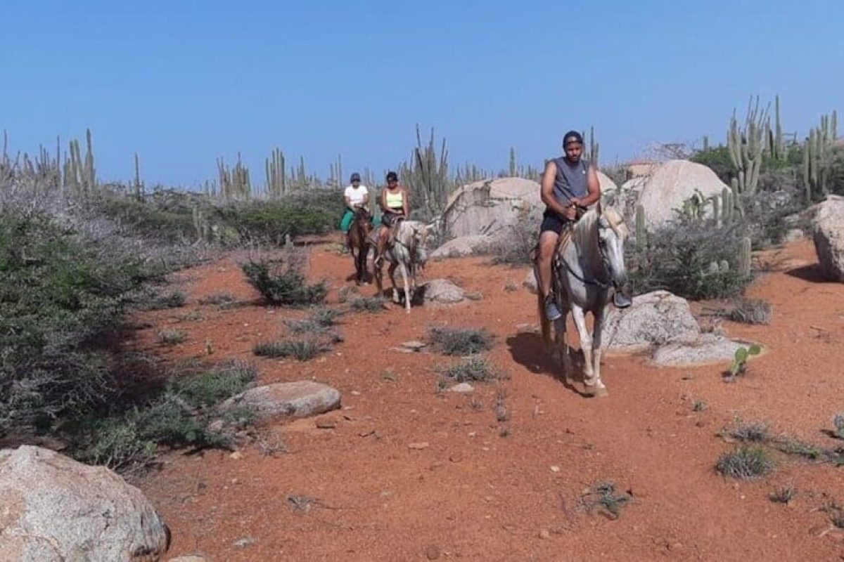 22a0e1bc-b5f4-4765-b98a-7e4a307123e5