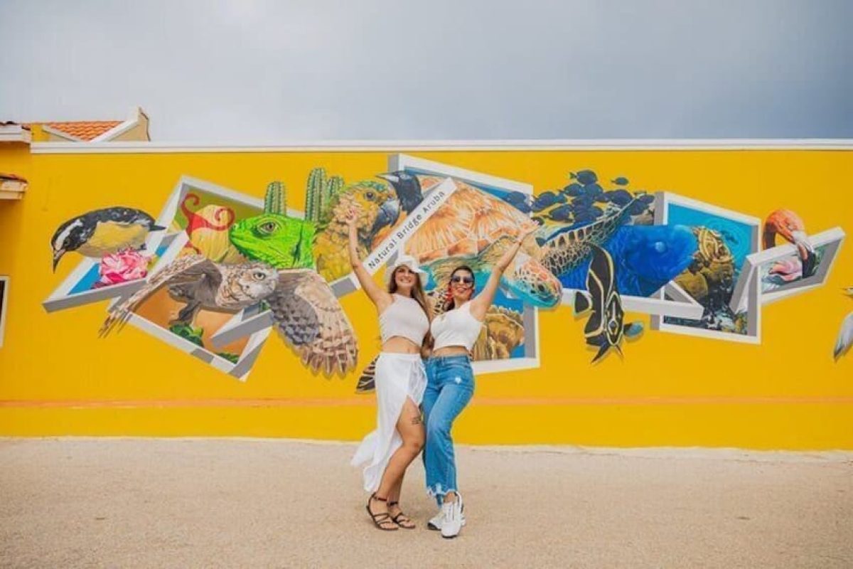 22b66fc8-0f22-4f34-8f3c-dac7aee50b97