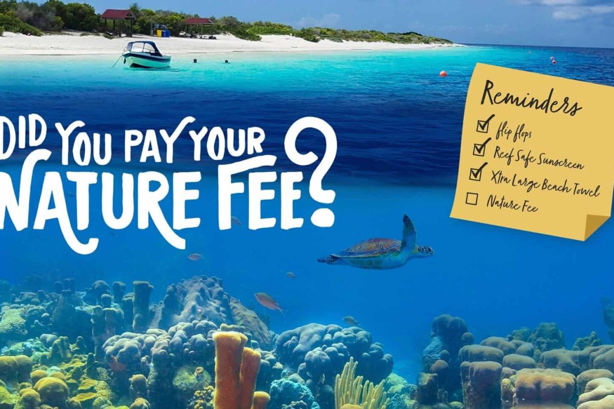 237498502_5044395882244274_7590333804618216556_n