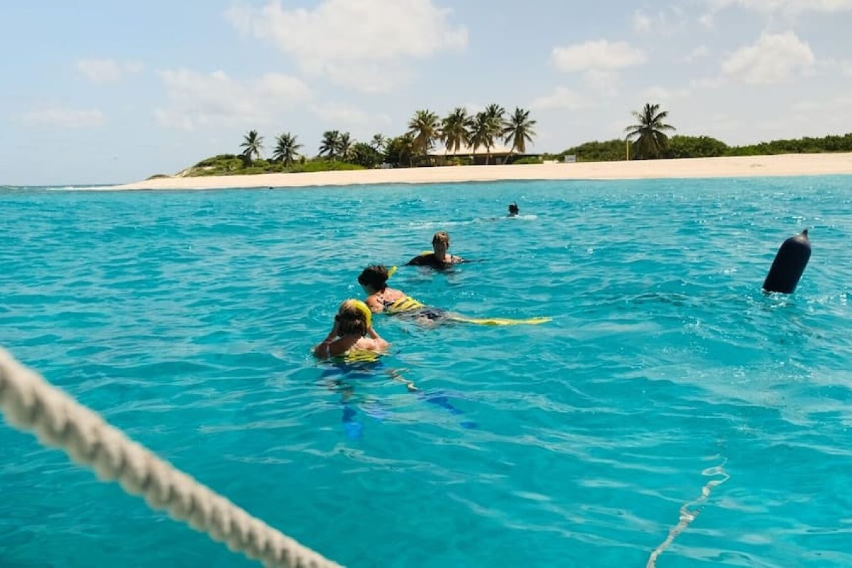 24330409-e14b-486c-800c-ae83f2d6f48d