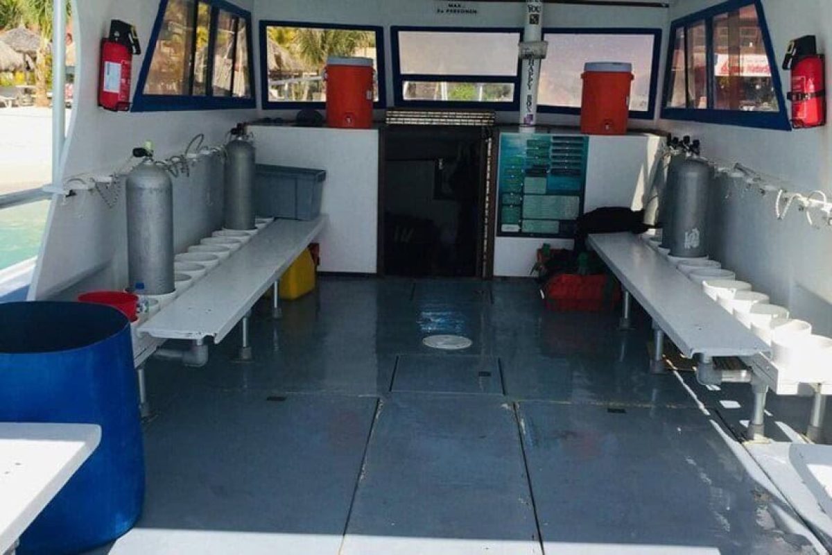 26e0457c-c50a-4075-b9cb-6287ead2d481