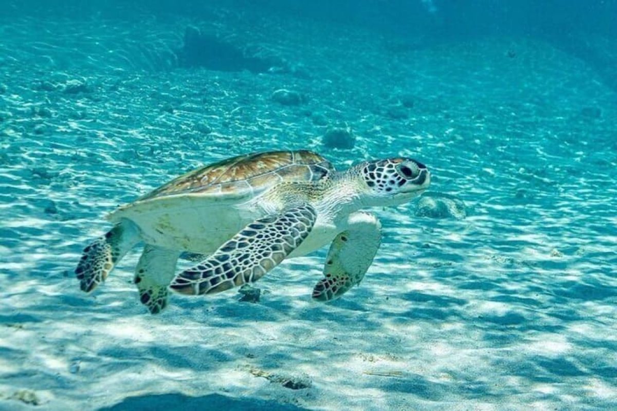 2b18286d-5976-4772-a012-e57acbdd461e