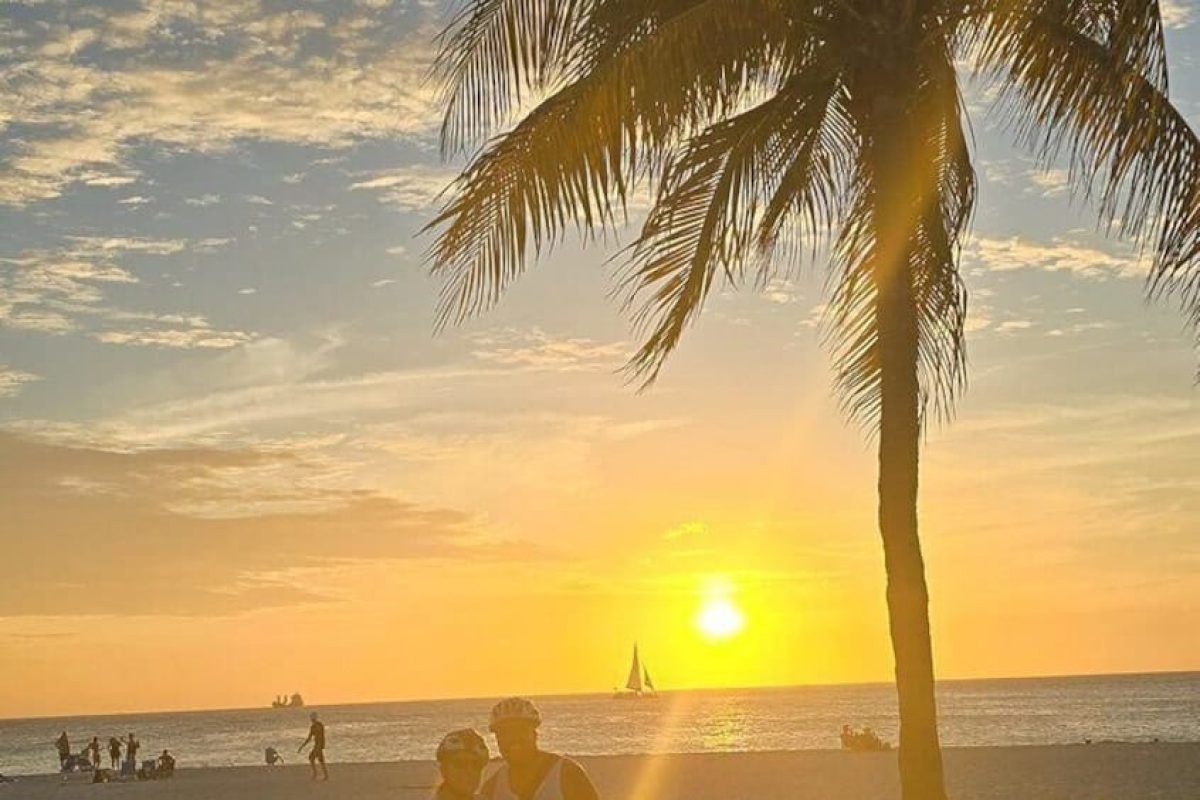 2c51d872-d22a-467c-99a3-78d2a7fff32d