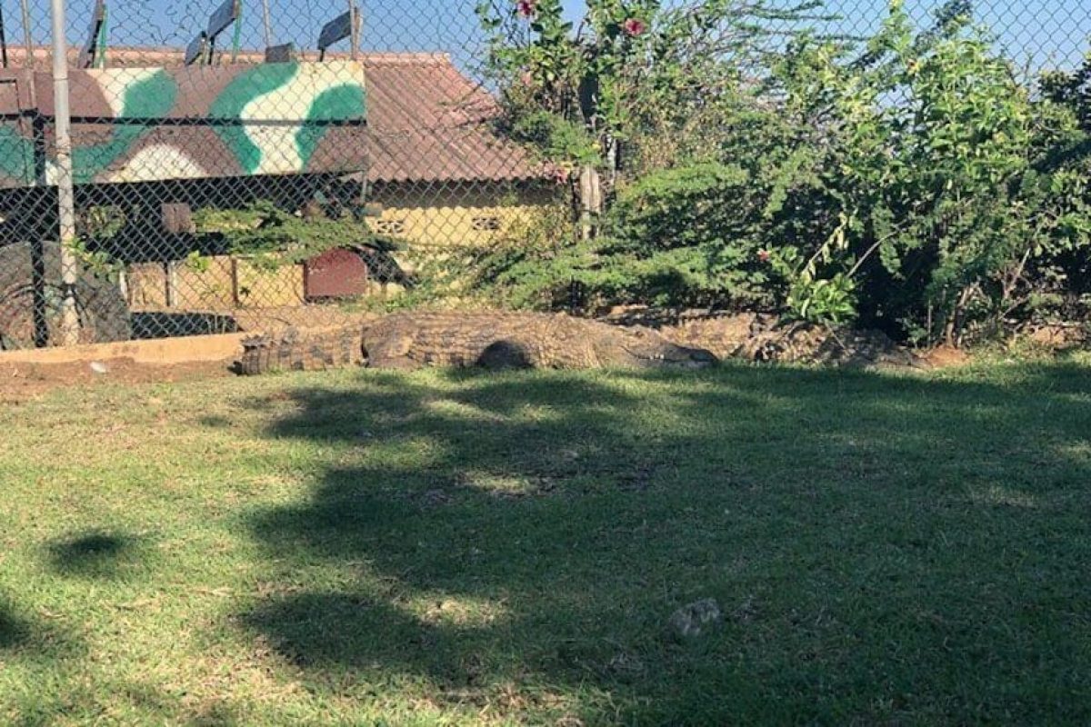 30c5fa06-29b3-48b0-ab3b-a33ce013ae33