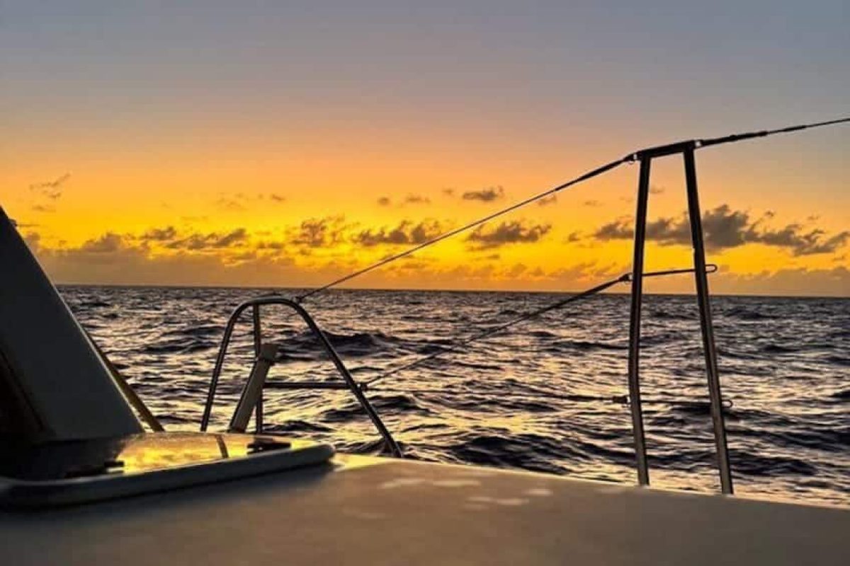 312acf25-1dce-4067-a3d3-26bb6a2550a9