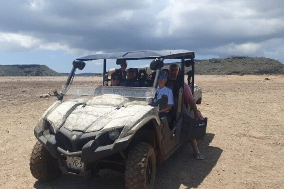 343b1a98-58bb-40d4-a053-93c8f3986bee