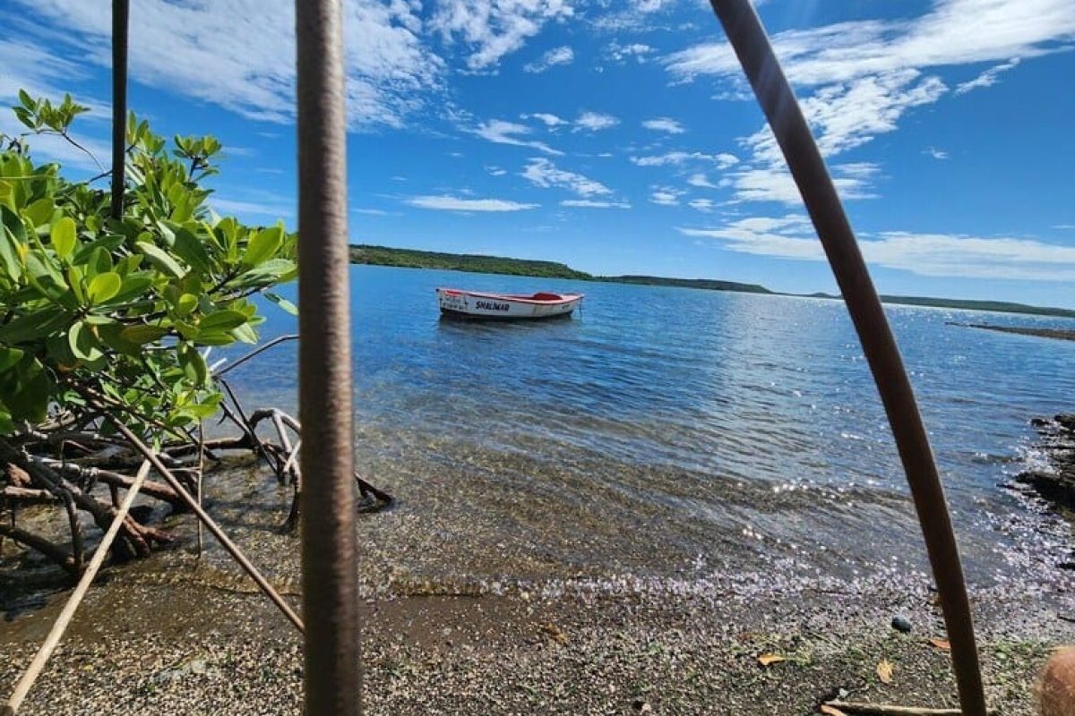 35e322de-afc9-4409-8d0a-0d8135fdfe7e