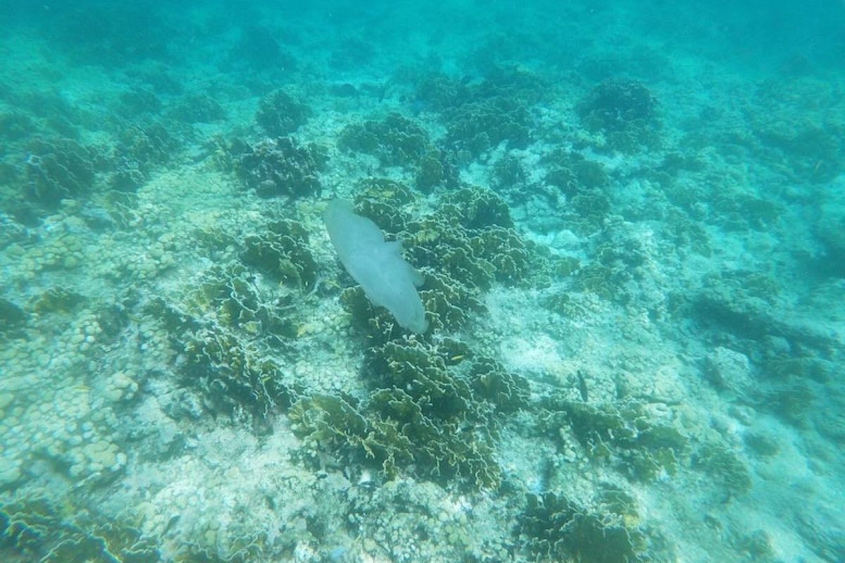 3758a381-d84d-49dd-a19d-93f8a6e527e1