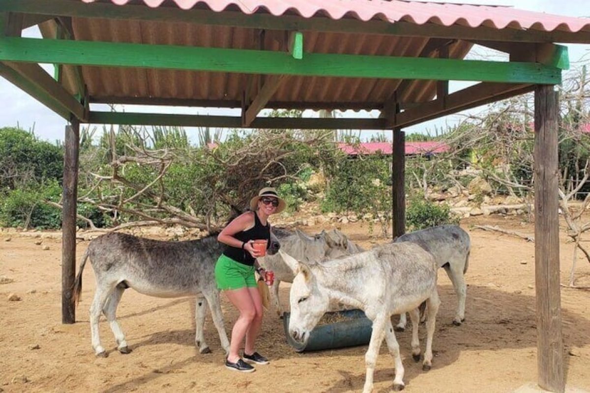 38b016dc-37c2-413e-b9be-113e4891df1a