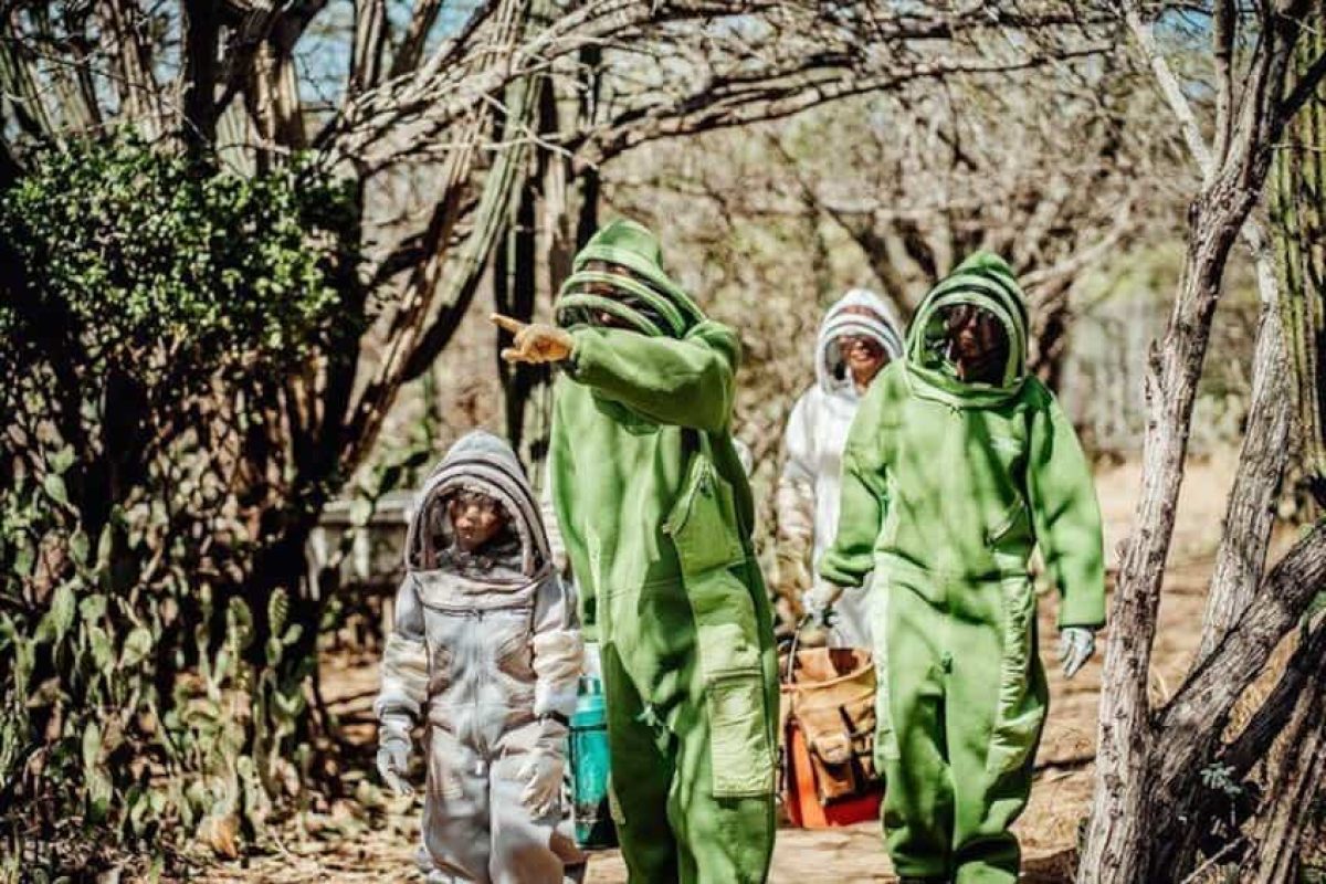 39893f7a-39de-48ea-b7c7-3326e5a9fbc7