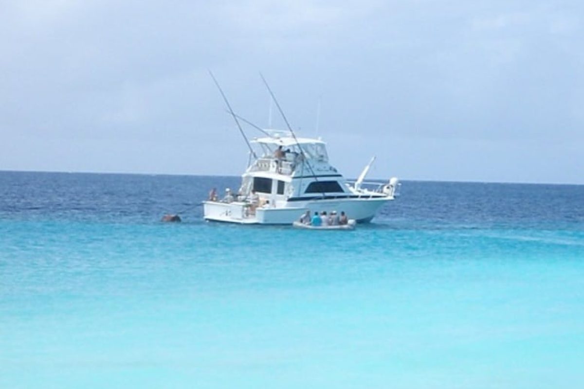 3c38f6bc-7963-4035-9ca3-7ca3aa6c94fa