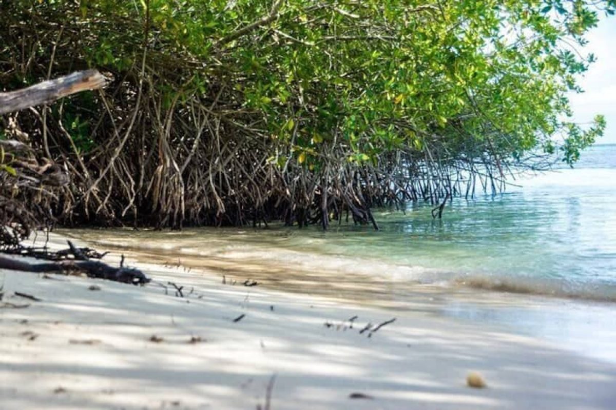 3e16e563-2d2a-47ae-8245-0b876a8e0b6e