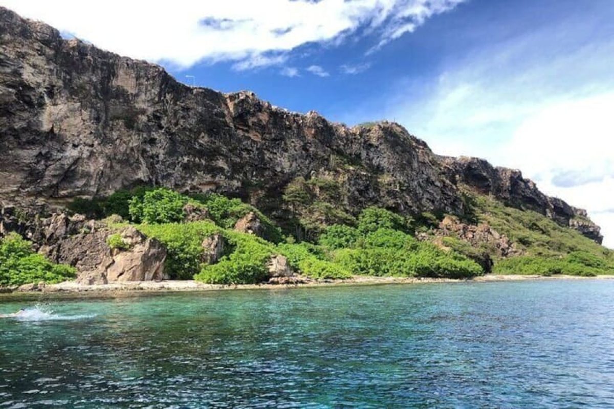 Boards of Snorkel (Curaçao)