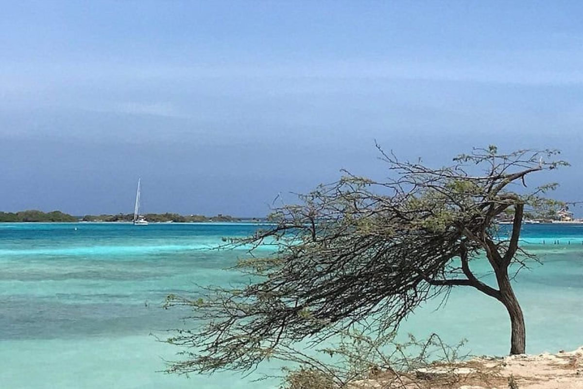 3f835563-5a4a-4825-9495-41bca89235d3