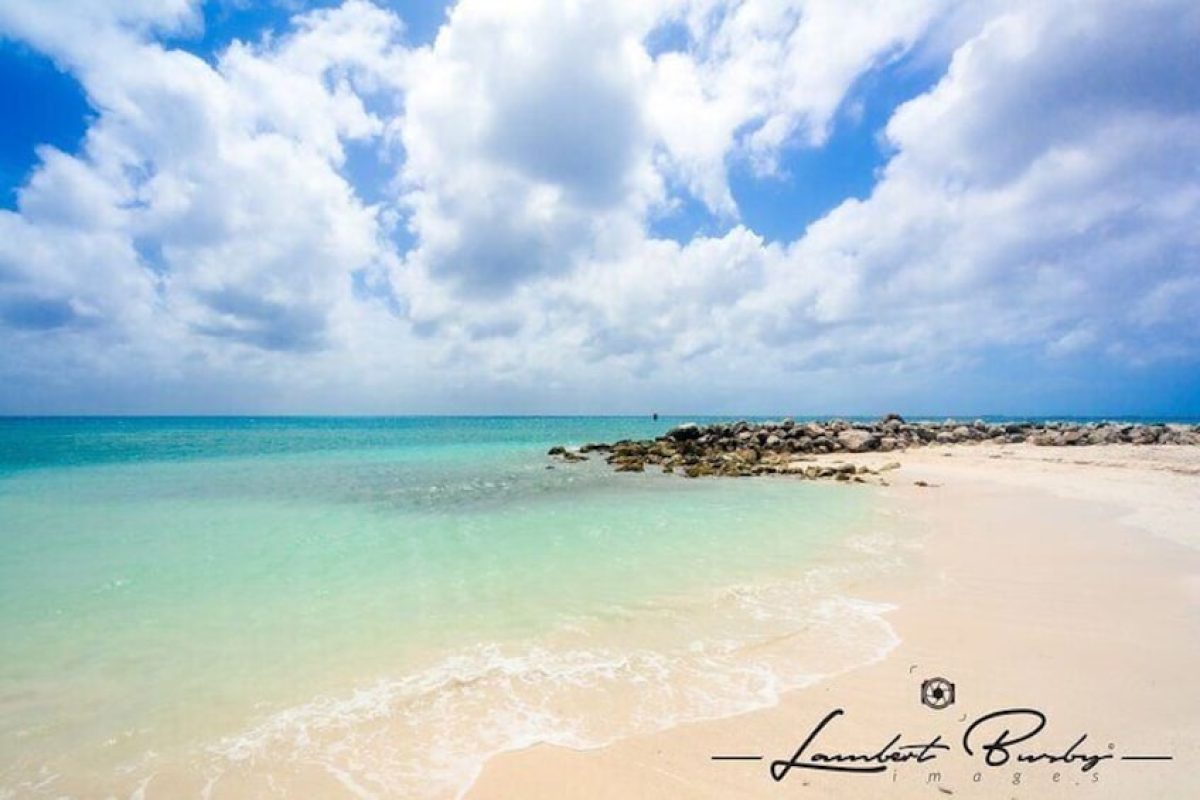 41a9f3a2-4d61-4173-bdba-643154b6560f