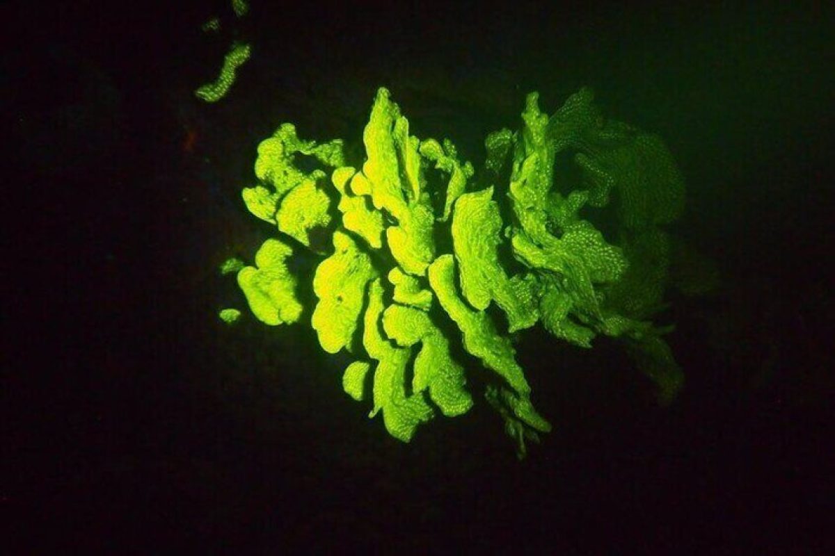 42015986-c8e0-430b-8f2c-6855377a0400