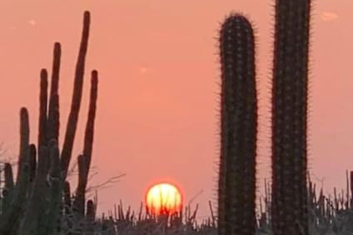 4269d552-3d8c-4e68-867b-68caf2d11dfd