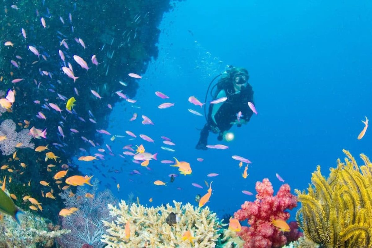 46fa18f1-47ea-405a-bd6b-0cd01bc9bab2