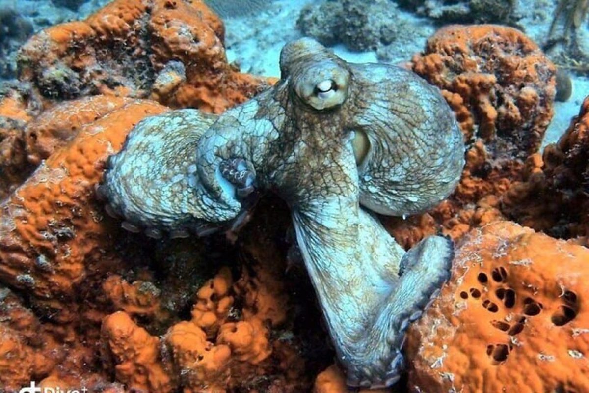 48ad3497-405f-4db6-9658-b75e548766eb