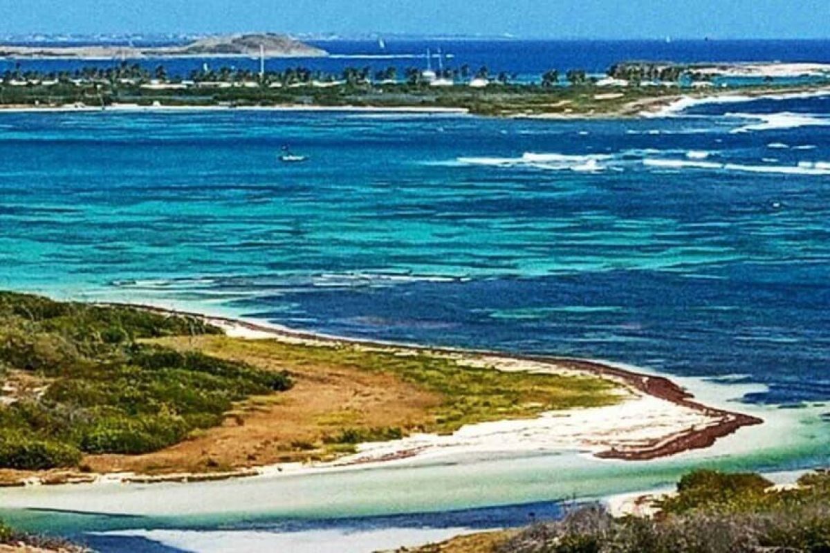 49e7ea63-7373-4d8d-ac5c-ddd9913e5341