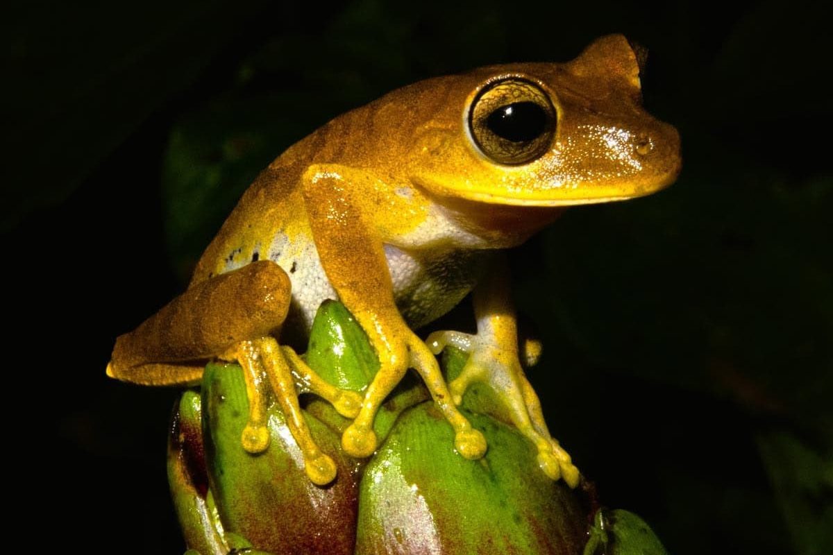 4K83B2dNileIBmdQjkK99sOmp5vEBtZhPTiZDGkQ