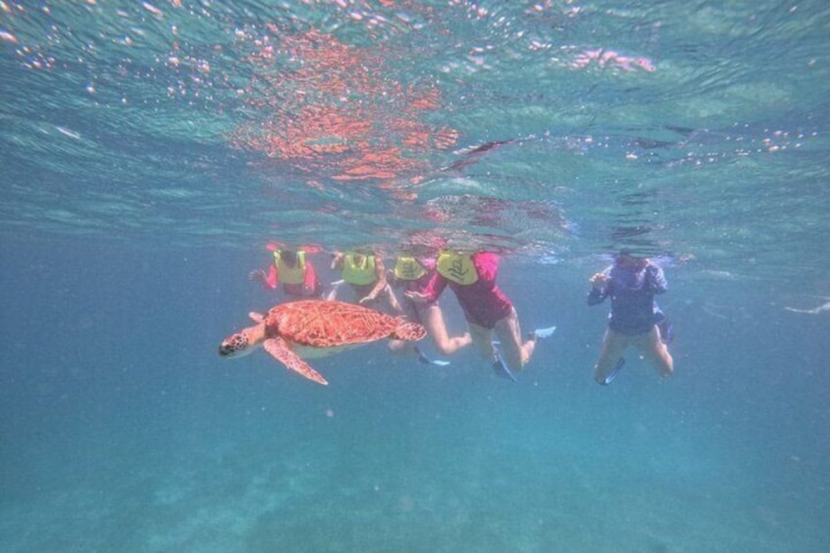 4addcbce-0c42-4fbe-b600-c4f10d6e54e9