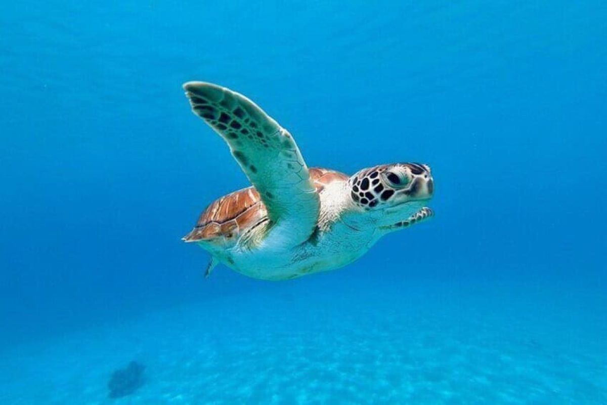 4ce00c24-ab46-49ac-80ef-65b350f511b1