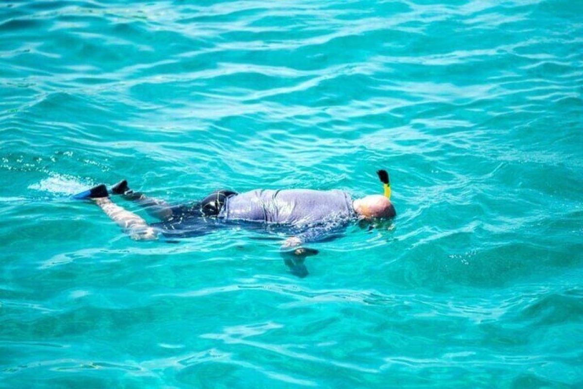 4e175459-324c-4e33-a28b-3e5a8ea7939e