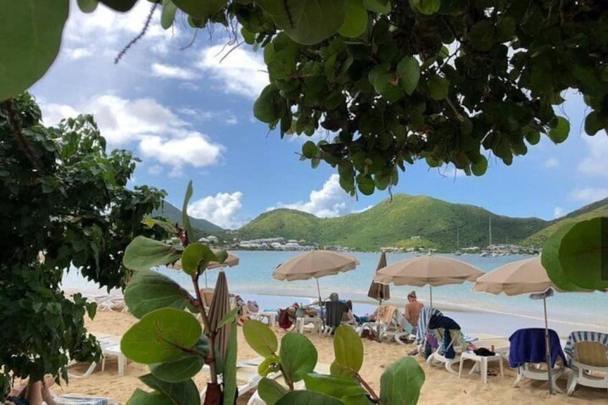 4e65918b-d1eb-4135-b03a-a13f73d722a5