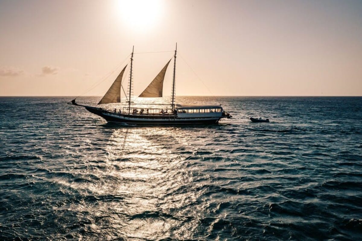 5140cbc8-b6fe-4641-a980-fea5655c1dce