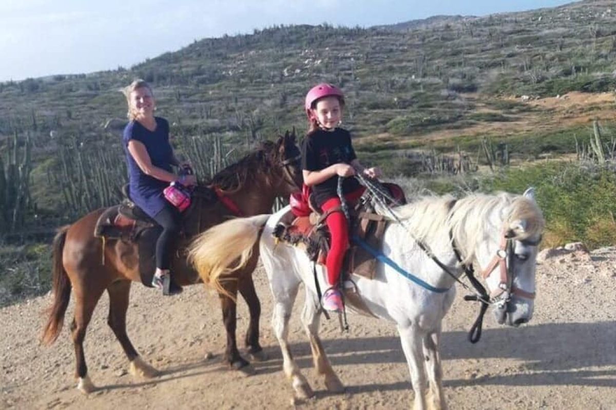 514e8b72-9a70-408d-a07b-2e704da3fbba