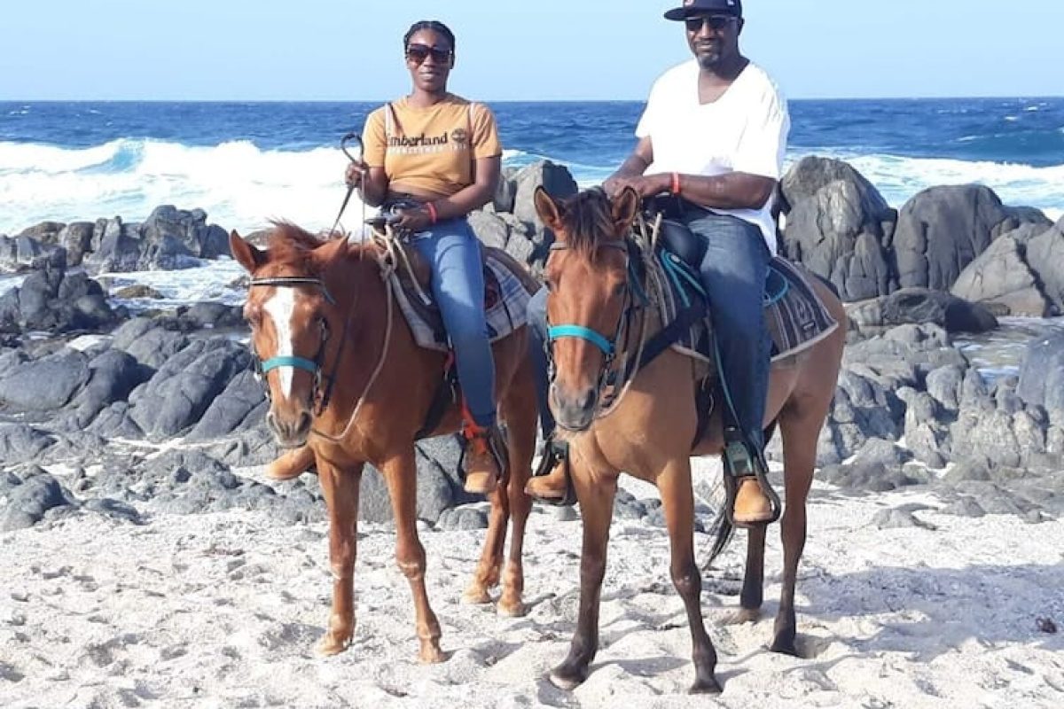 5294e846-10c9-4efd-9d48-2fe3d642f55c