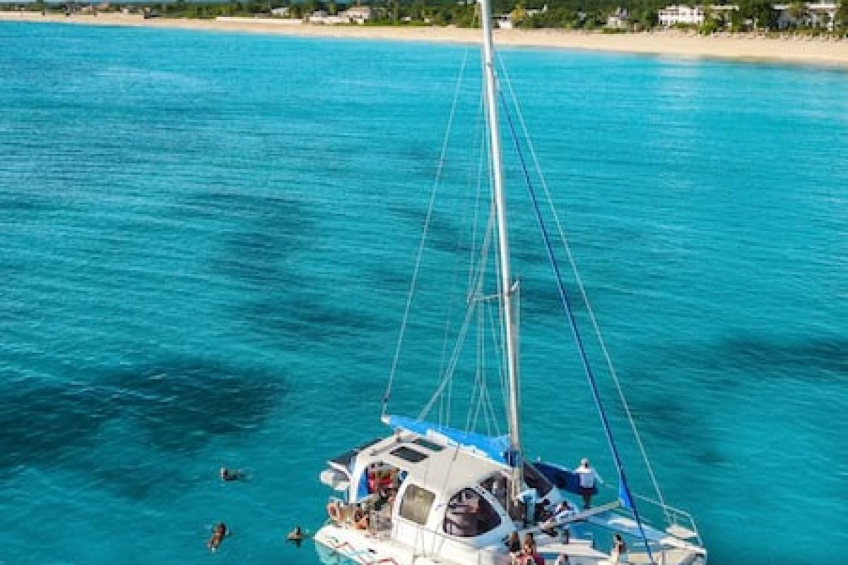 5350a0a2-0747-46b4-899d-4737b88b8641