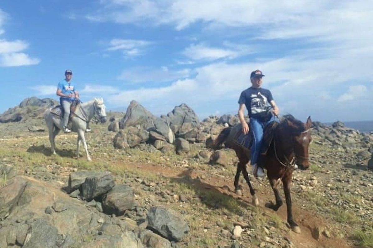 5495c22f-d715-48e8-a8e1-2f77b7baa951