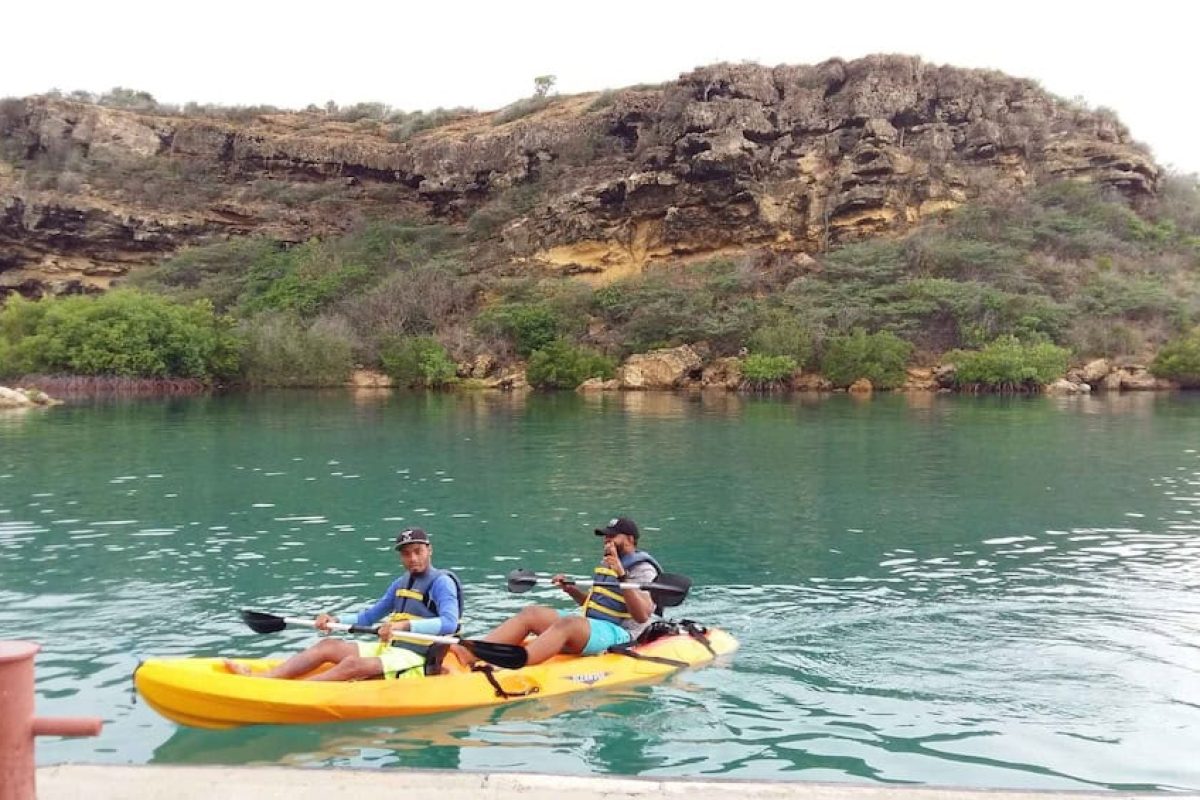 54b08c86-156c-42c8-ab95-1cf75410e584