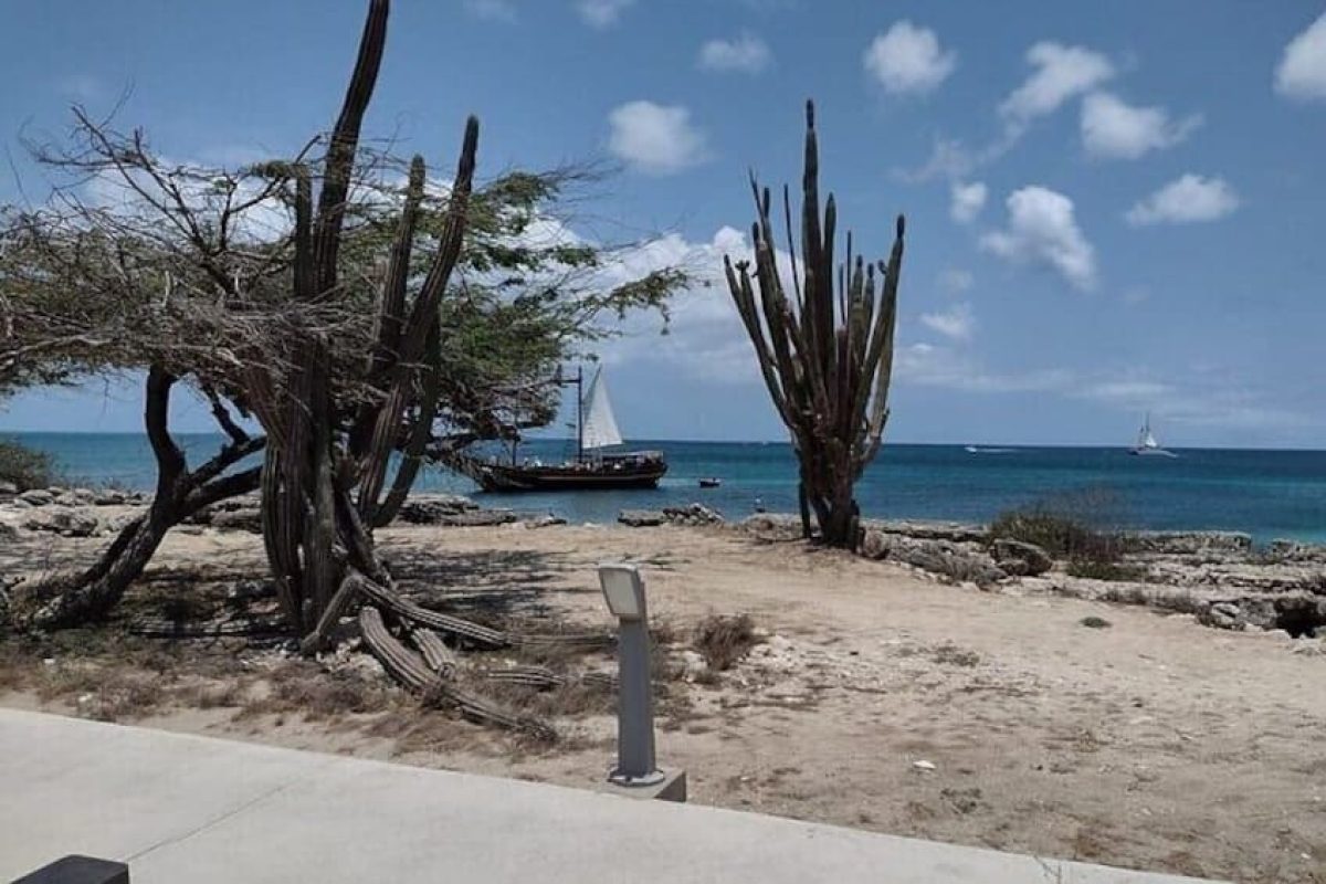 54e2fe52-1e10-4b26-b685-47ea98cb4f23