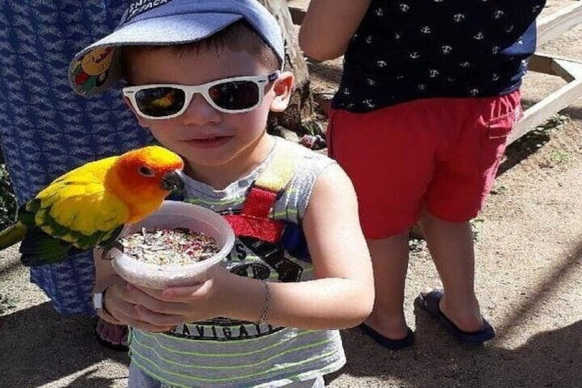 572a0325-06eb-4383-bb2b-bb6b1bc9b9b7