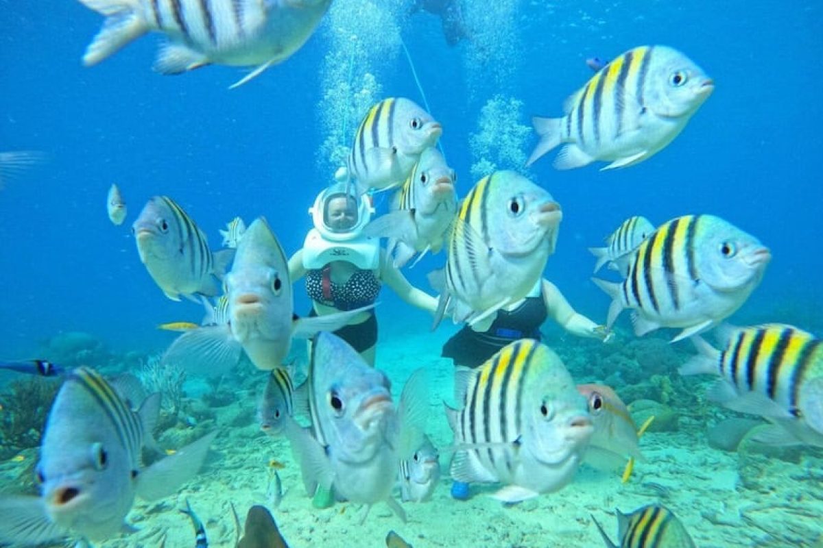 579613b9-4eb9-4814-a13a-8372d15c927b