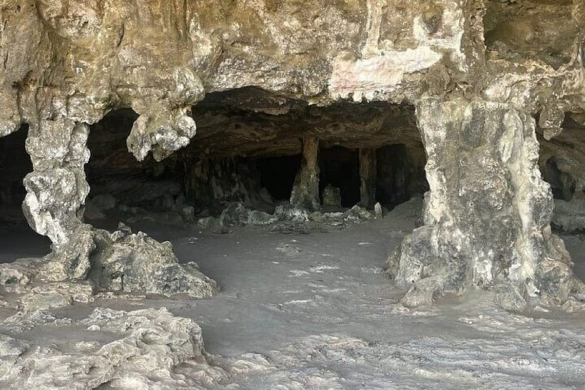 5896cc93-b80f-4ba4-8746-39d15988c43b