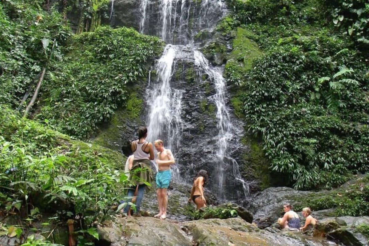 Volledige Dag Tour naar Brownsberg Natuurpark (Suriname)