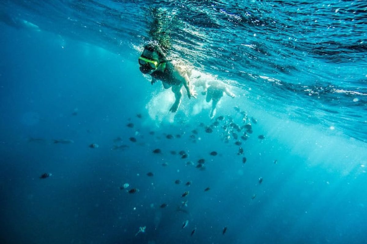 5de561c8-a5a8-46b7-aaf1-d4f532068db5