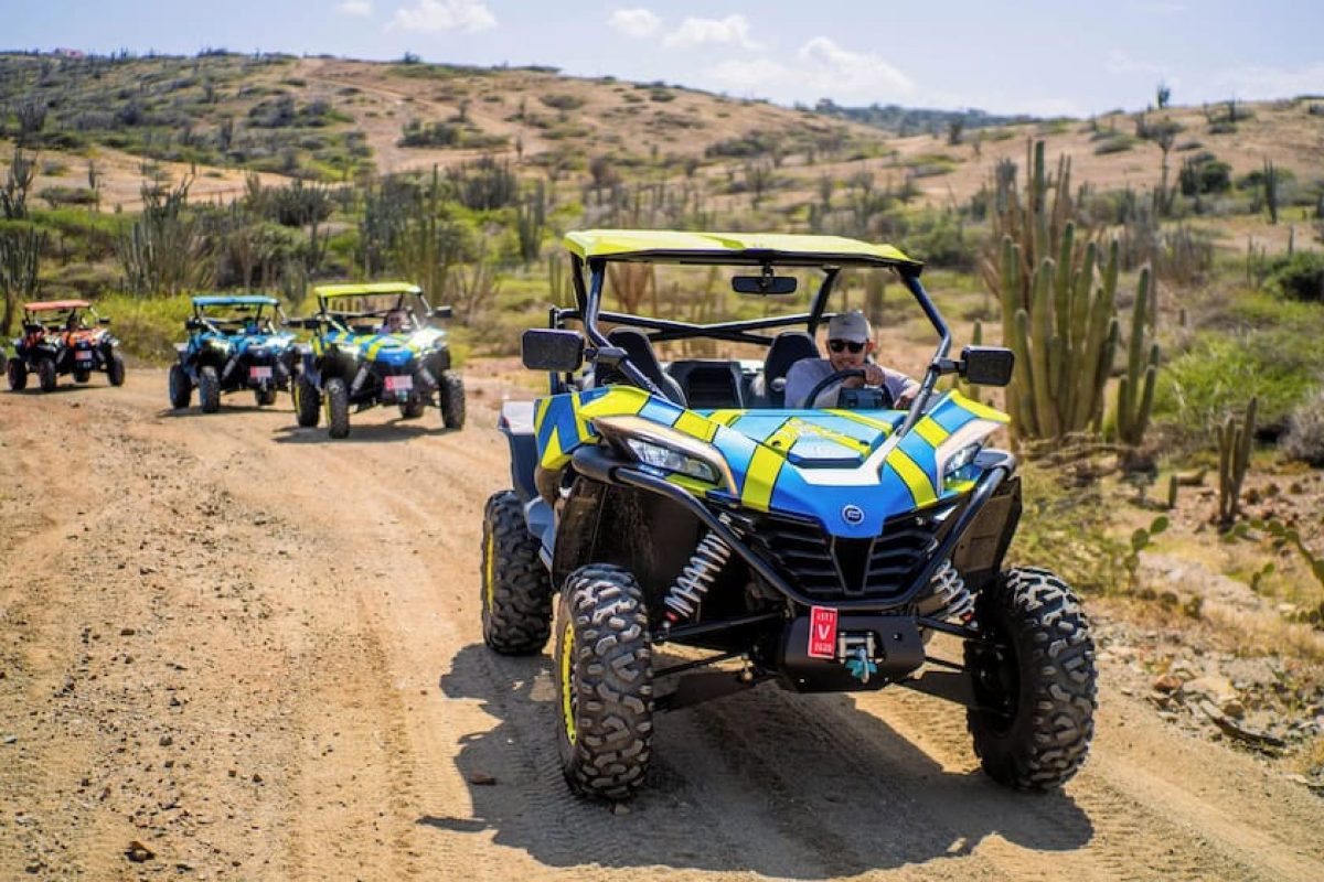 61d18152-fb73-46f1-a704-7724c5df0d49