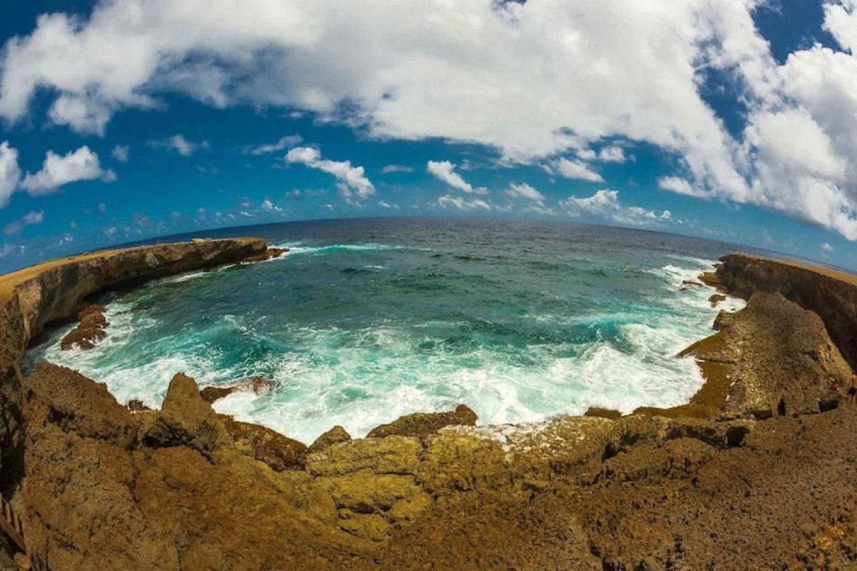 623e54dd-dc9f-40e6-8d84-b65c81508875