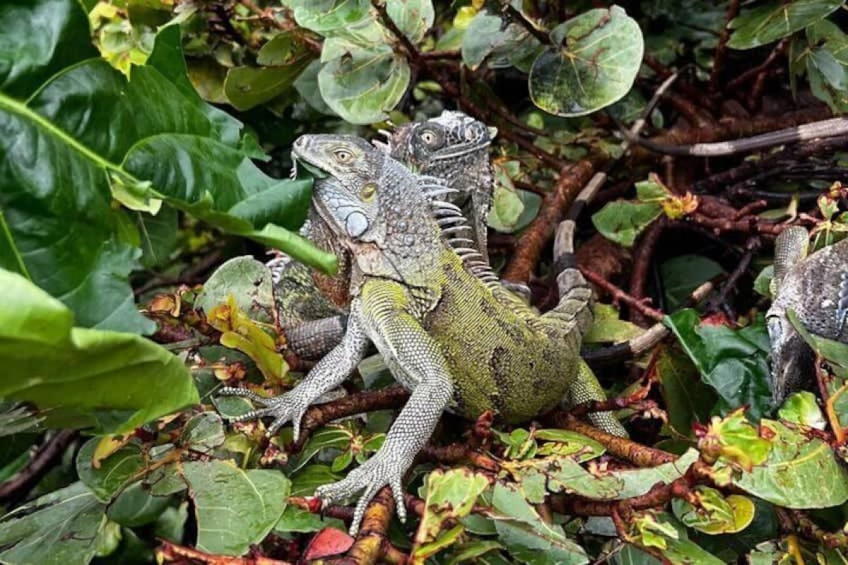 62e20e1e-c560-4d6c-9a63-b7fc198650a6