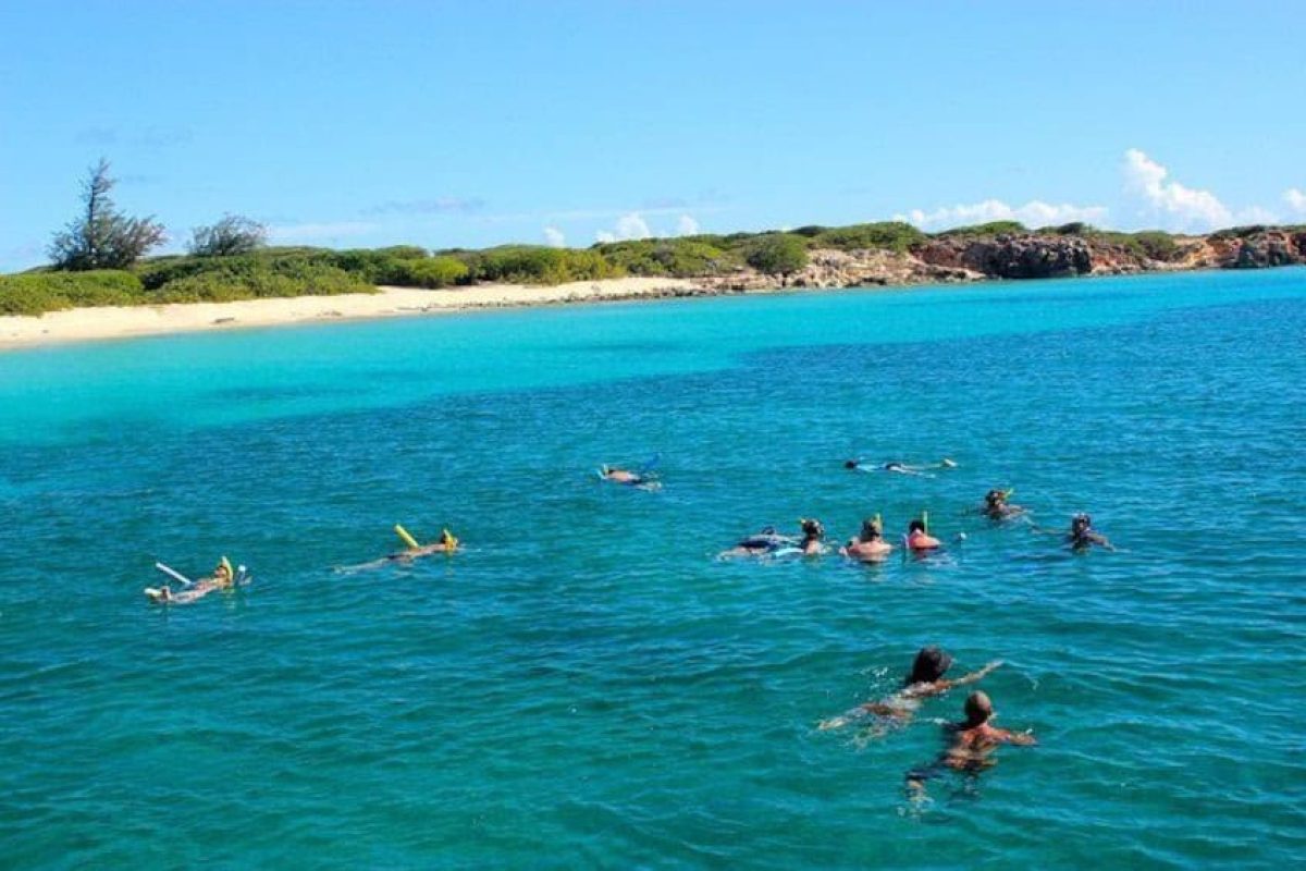 64b27218-a6f3-420a-b03c-562221b376e6