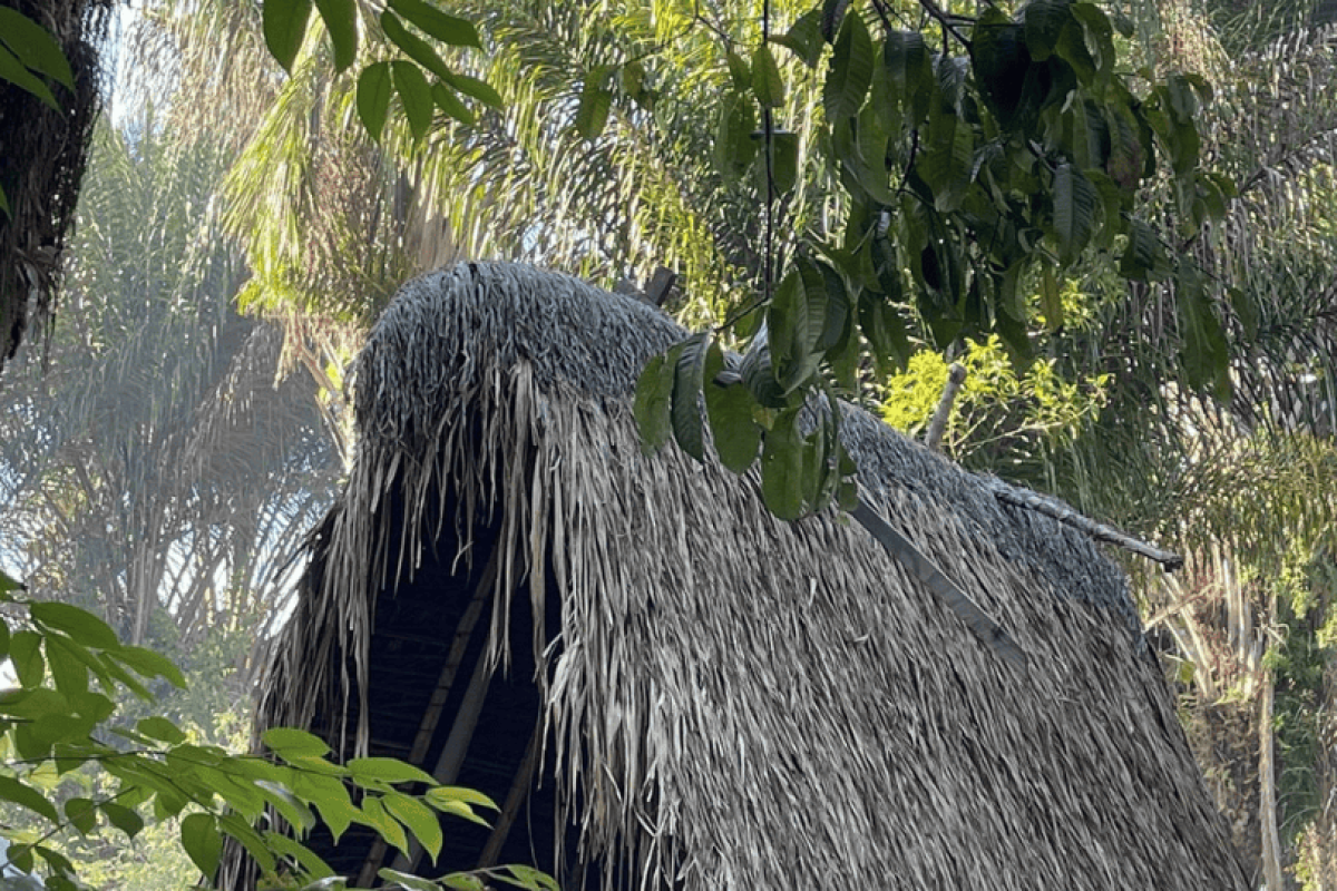 65ae2ef1d031fc794141c391_ApiapaatiSuriname