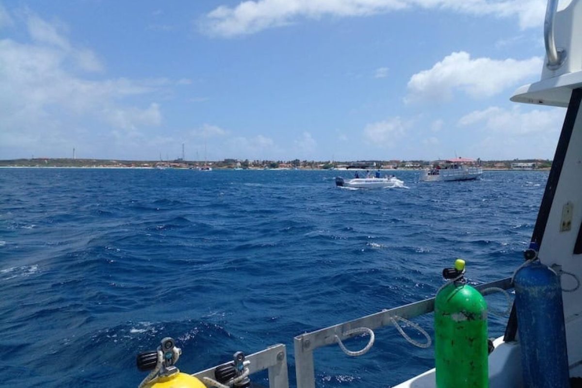 665e7b4c-e64e-4522-88ed-82854438db13