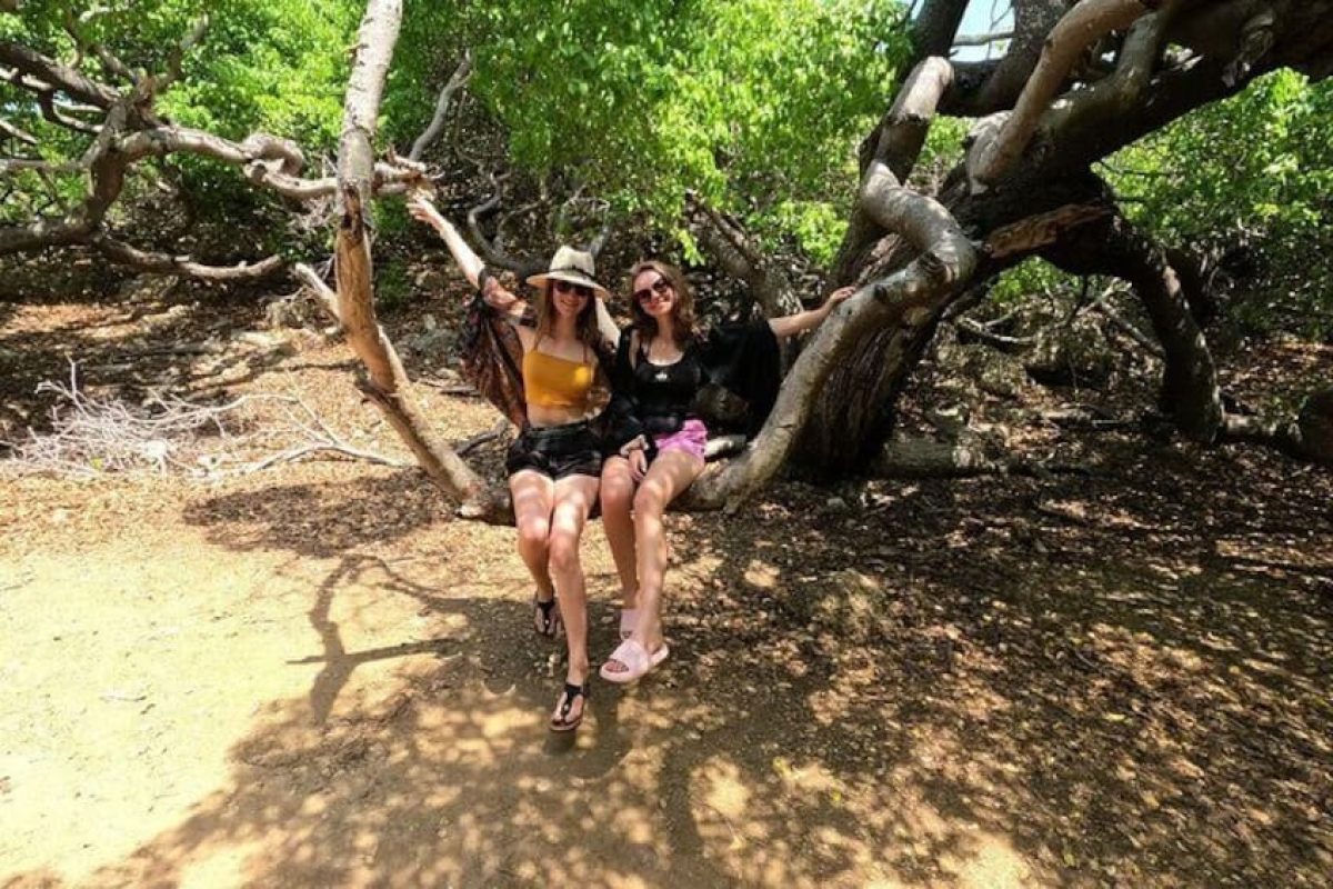 6e7fe634-ebb5-4227-9899-a46698ade2b9