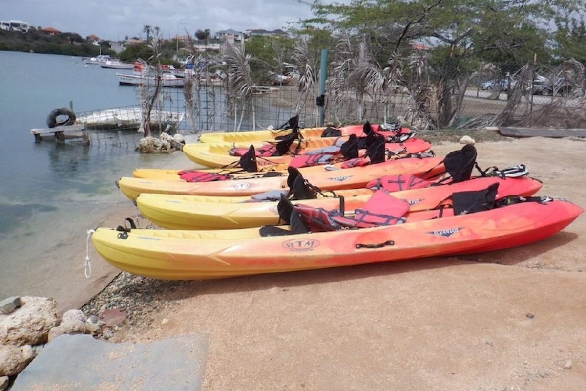 6f1725df-89c5-4ff0-8880-3aa30042d5f1