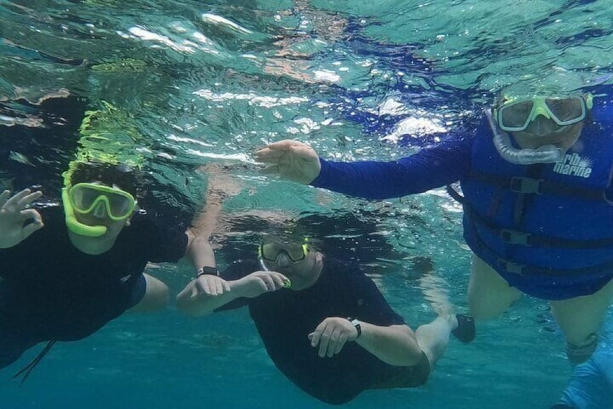 6f55caa1-45da-45f8-bd03-adc4b8d4fa24